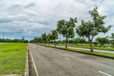 Parkta yeşil ağaçlar olan güzel asfalt yol.