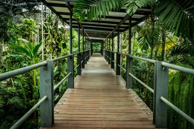 Parktaki tahta köprü.