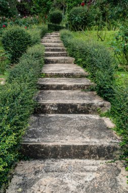 Yeşil budanmış bitkileri olan eski beton merdiven