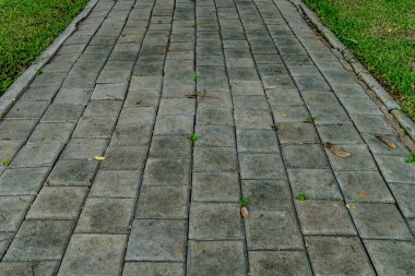 Parkta beton blok yolu