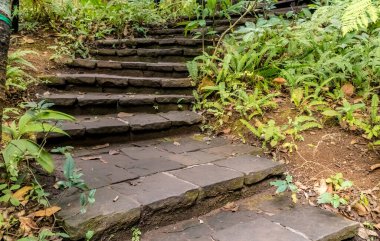 Parkta yeşil bitkiler olan yaşlanmış beton merdiven.