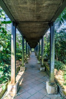 Parkta yeşil ağaçlar olan beton patika ve metal yapı