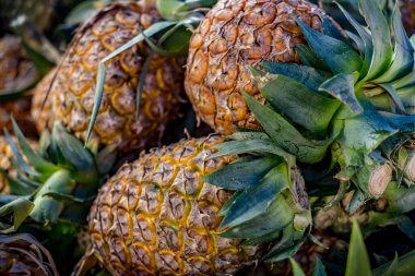 Taze tropikal ananasların resmi