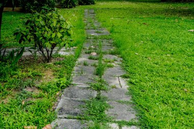 Parkta beton blok yolu