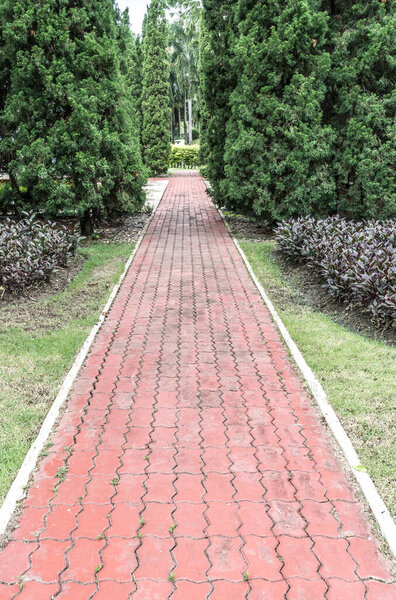 Concrete pathway in park