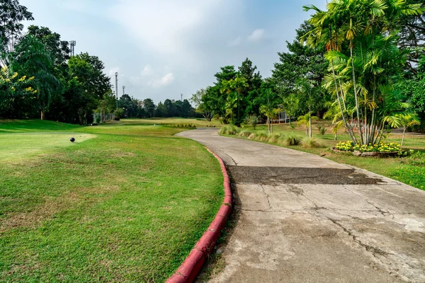 Concrete road and Green lawn with trees in golf club