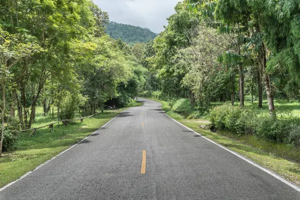 Asphalt Country Road Green Trees — Stock Photo, Image