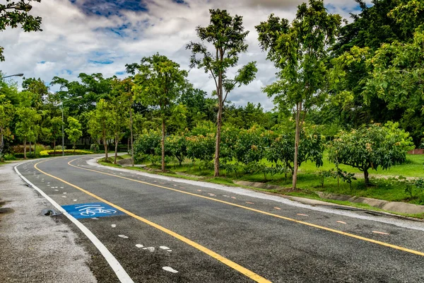 Beautiful Asphalt Road Green Trees Park White Cloud Blue Sky — Stock Photo, Image