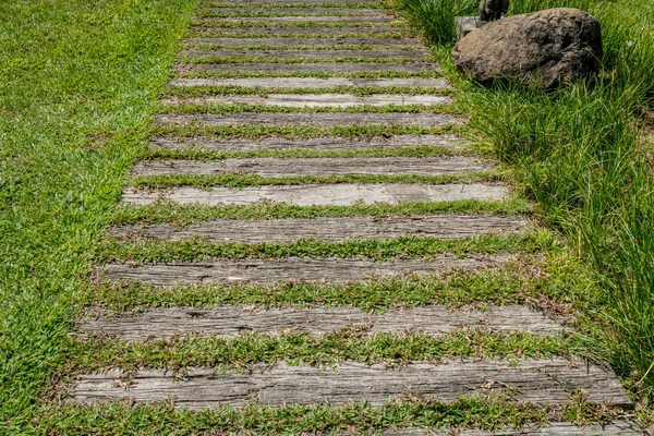 잔디가 콘크리트 — 스톡 사진