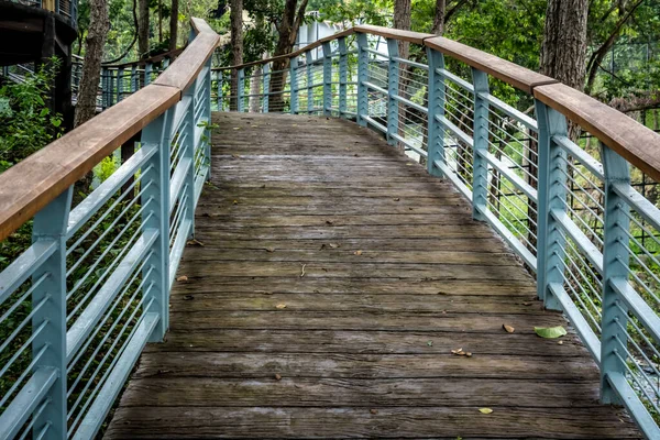 Pasarela Hormigón Parque — Foto de Stock