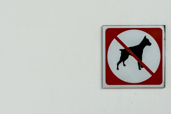 Non Sono Ammessi Cani Segno Sul Muro Cemento Bianco — Foto Stock