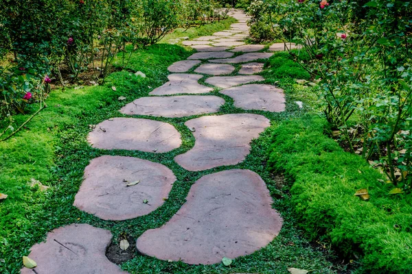 Parkta beton yol