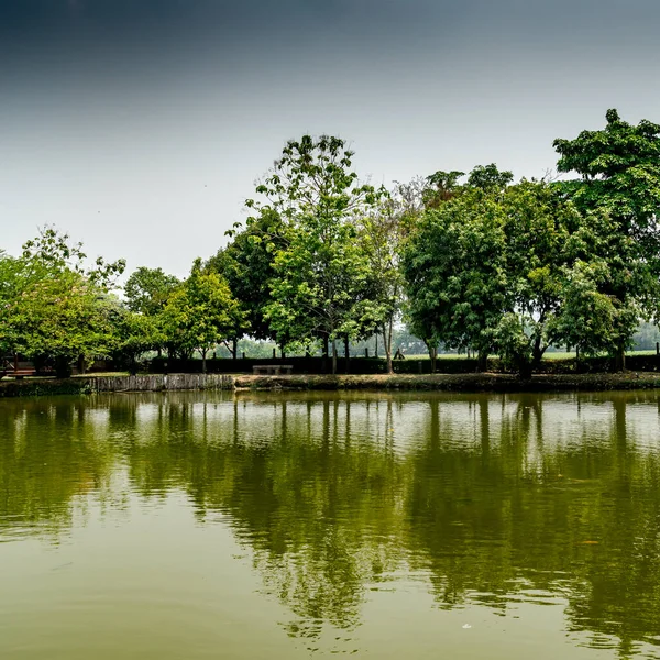 带湖泊的热带绿色花园 — 图库照片