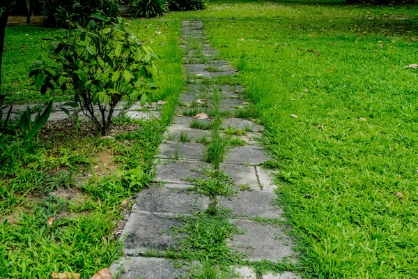 Parkta beton blok yolu