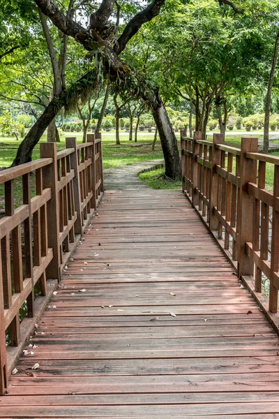 Weg Und Holzbrücke Garten — Stockfoto