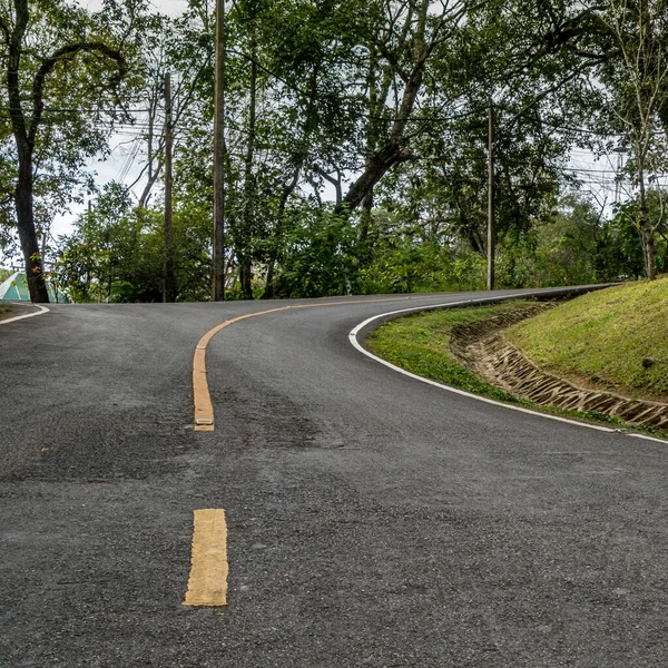 Желтая Кривая Дорожного Знака Дороге Джунгли — стоковое фото