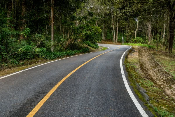 Segnale Stradale Curva Gialla Sulla Strada Giungla — Foto Stock