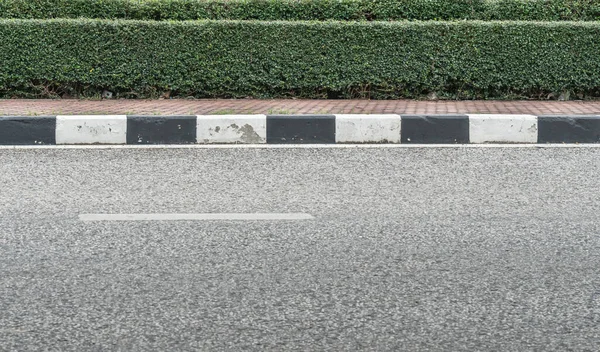 Beyaz Çizgili Asfalt Yol Budanmış Bitkiler Çitli Beton Blok Kaldırım — Stok fotoğraf