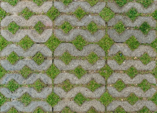 Betonnen Blok Vloer Met Groen Gras — Stockfoto