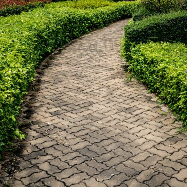 Parkta beton yol