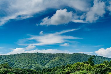 Mavi arka planda beyaz bulutlu dağ ve orman