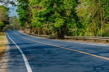 Kırsalda yeşil ağaçlı asfalt yol