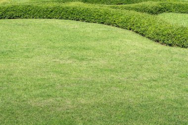 Parkta çitleri budanmış yeşil çimenler
