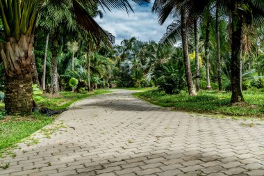 Parkta beton blok yolu