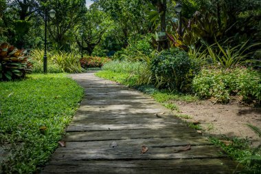 Çiçekli ve yeşil çimenli eski ahşap patika