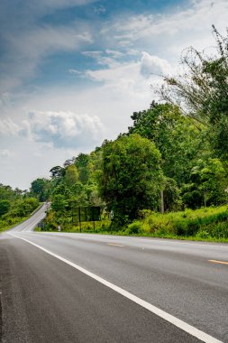 Kırsalda yeşil ağaçlı asfalt yol