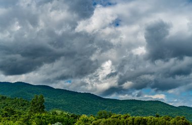 Kara bulutlu arka planda dağ ve orman