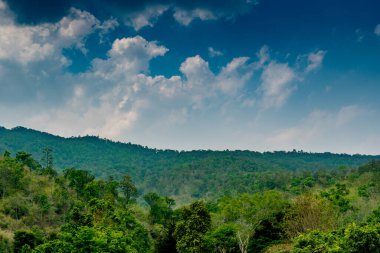 Mavi arka planda beyaz bulutlu dağ ve orman