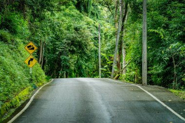 Tropikal bölge ormanlarında asfalt yol ve dik tepe trafik levhası