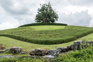 Parktaki yeşil çim tepesi
