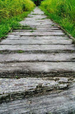 Çeltik tarlasında beton yol açıldı.