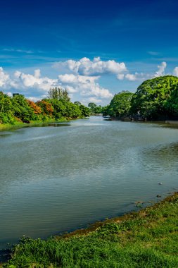 Nehir ve yeşil ağaçlar mavi gökyüzü arkaplanı