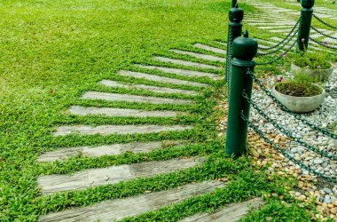 Parkta yeşil çimenler olan eski ahşap patika.