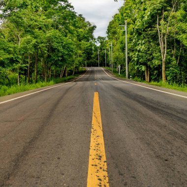 Tayland kırsalında yeşil tropikal ormanlı asfalt yol