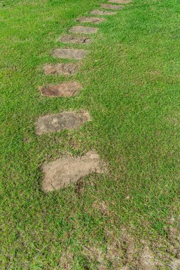 Kahverengi taş patika yeşil çimleri geçiyor