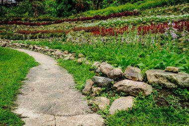 Bahçesinde renkli çiçekler olan beton bir yol.