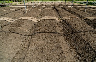 Çiftlikte boş sebze yatağı