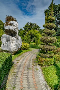 Parkta yeşil budanmış bitkilerle beton yol