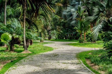 Parkta beton blok yolu