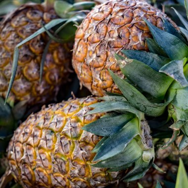 Taze tropikal ananasların resmi