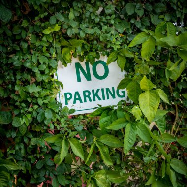 Yeşil yapraklı bir park yeri yok.