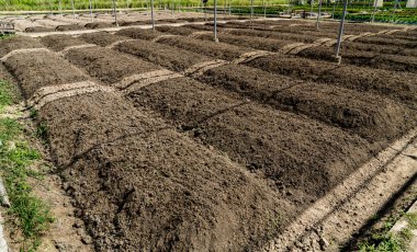Çiftlikte boş sebze yatağı