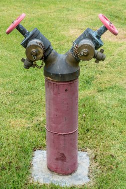 Çimlerin üzerinde kırmızı vanası olan yangın musluğu.