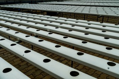 Boş beyaz plastik boru hidrofonik çiftlik