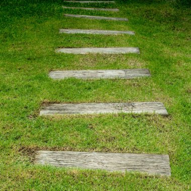 Yeşil çimenlikte beton yol