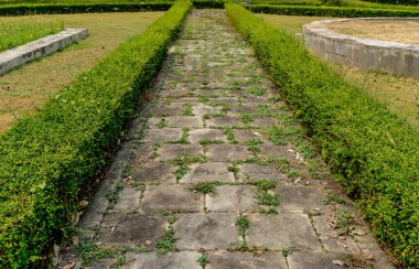 Parktaki çimento yolu yeşil çitlerle süslenmiş.